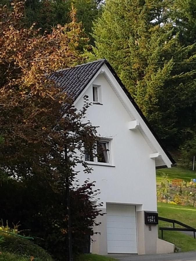 Ferienhaus Am Ruhberg Винтерберг Экстерьер фото